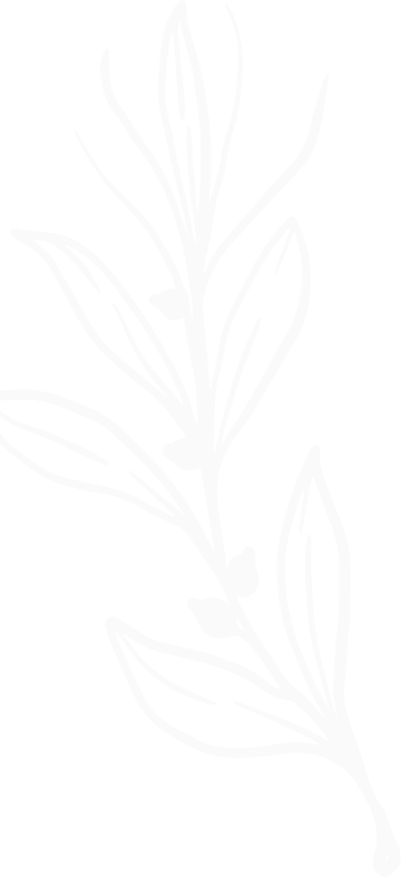 كل ما يخص جلسات البشرة مع أفضل أخصائيات البشرة